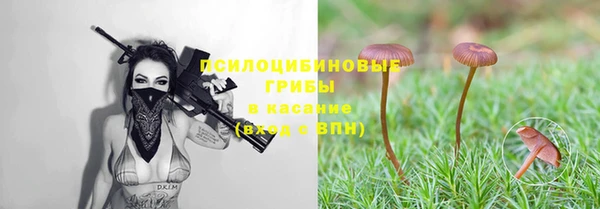 MDMA Premium VHQ Арсеньев